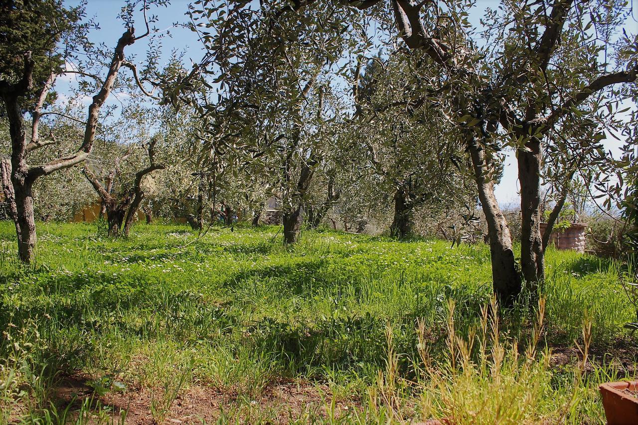 Guardalaluna Villa Pian di Scò Eksteriør billede
